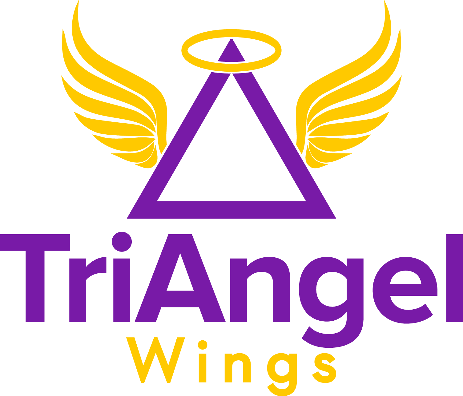 Triangle_WingsUpdated_102417